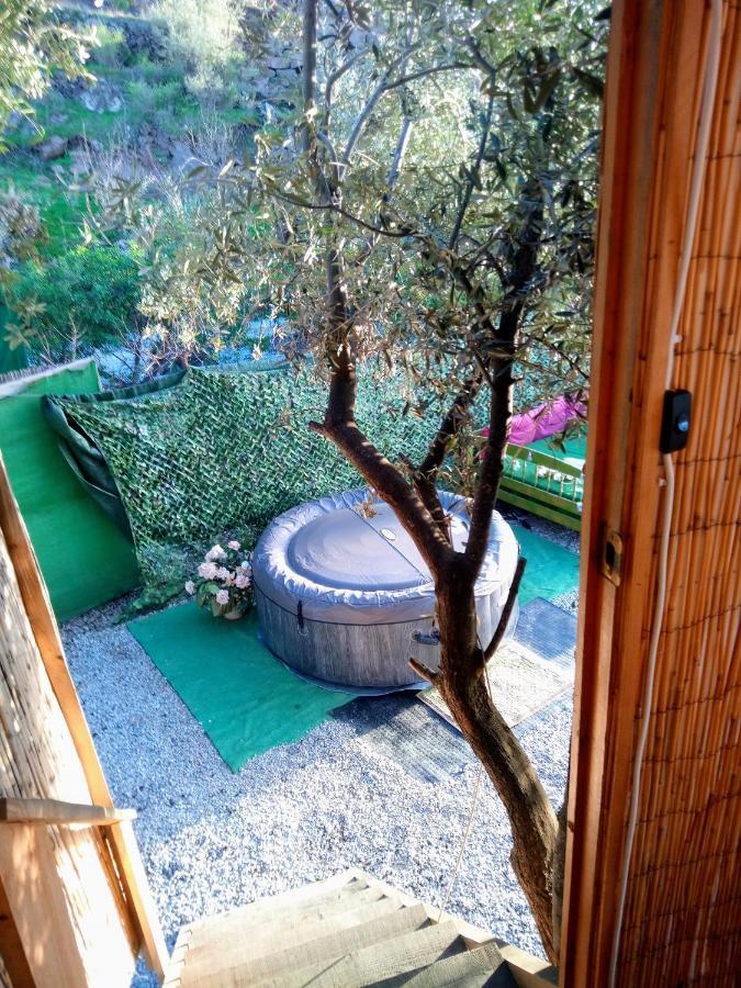 Treehouse ,Casa Arbol, With Spa Algarrobo Exterior photo